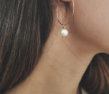 Load image into Gallery viewer, 14Kt Rose Gold Filled Hoop Earrings / Freshwater Pearls